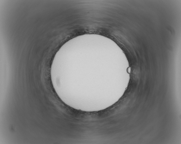 X0000113370865200910131319