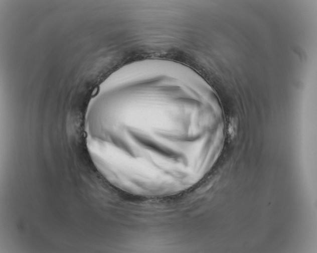 X0000113370867200910131319