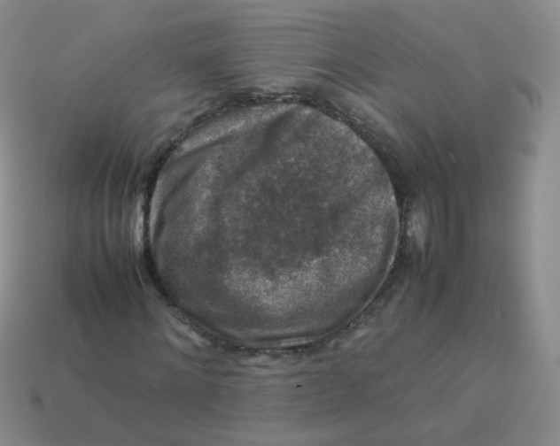 X0000113370868200910131319