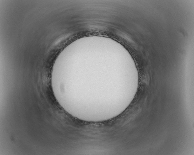 X0000113370869200910131319