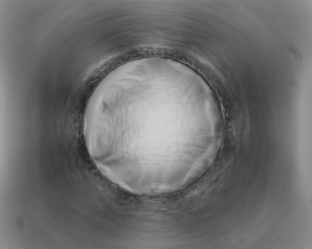 X0000113370870200910131319