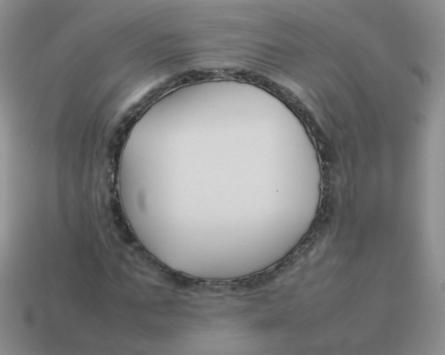 X0000113370871200910131319