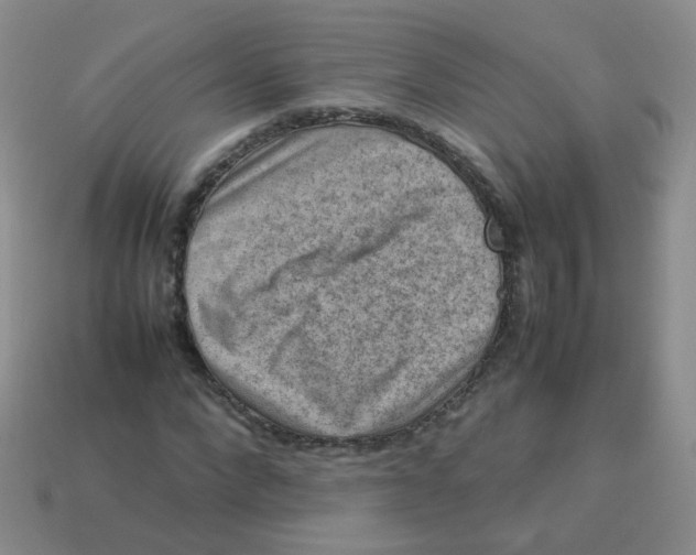 X0000113370872200910131319