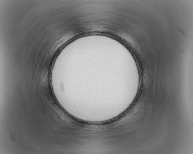 X0000113370873200910131319