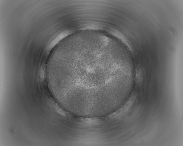 X0000113370874200910131319