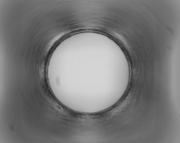 X0000113370875200910131319