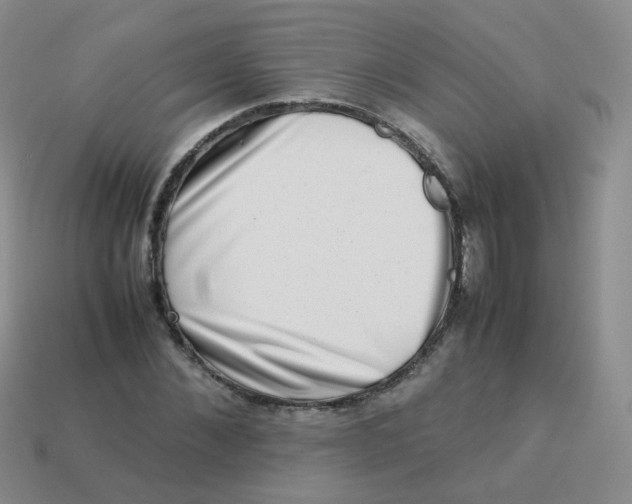 X0000113370876200910131319