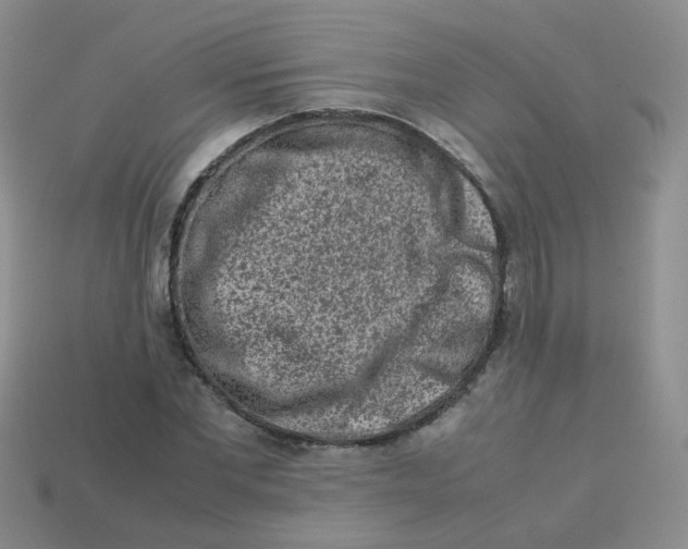 X0000113370877200910131319