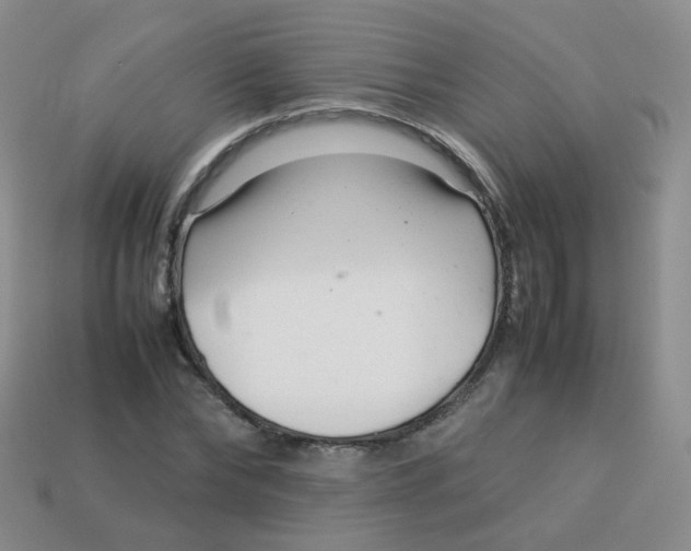 X0000113370878200910131319