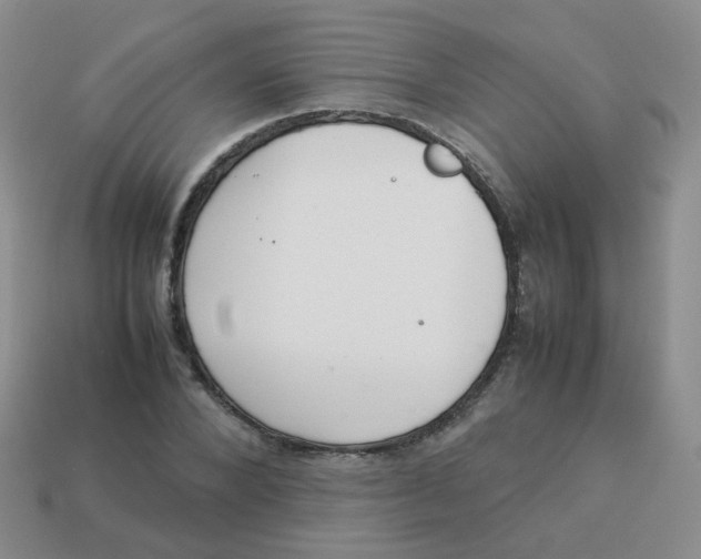 X0000113370880200910131318