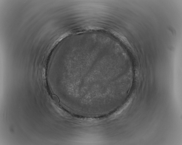 X0000113370881200910131318