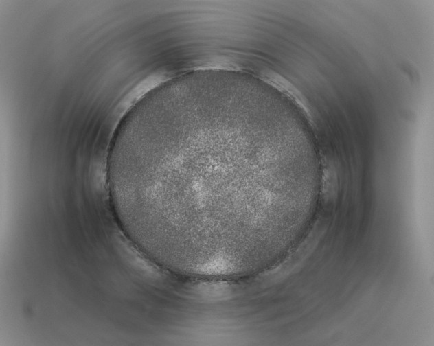X0000113370882200910131318