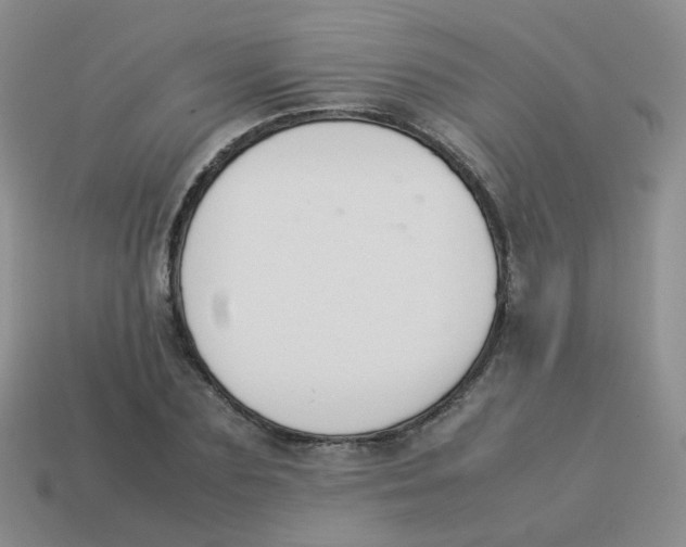 X0000113370883200910131318
