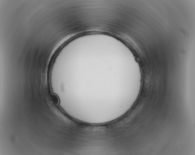 X0000113370884200910131318