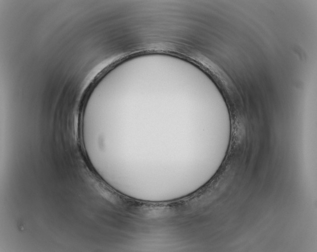 X0000113370886200910131318