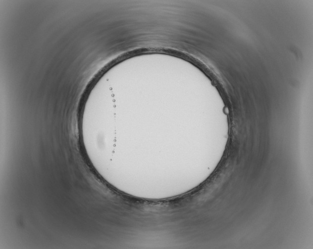 X0000113370887200910131318