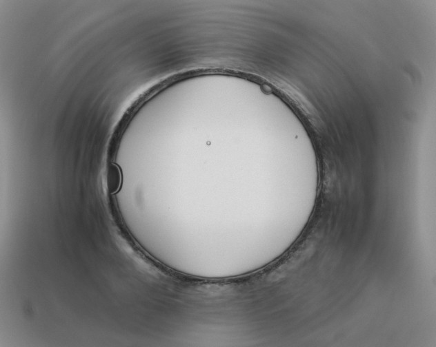 X0000113370888200910131318