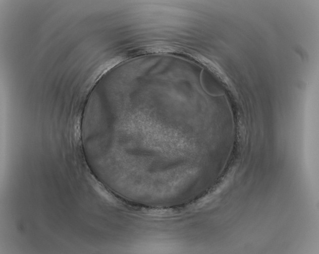 X0000113370889200910131318