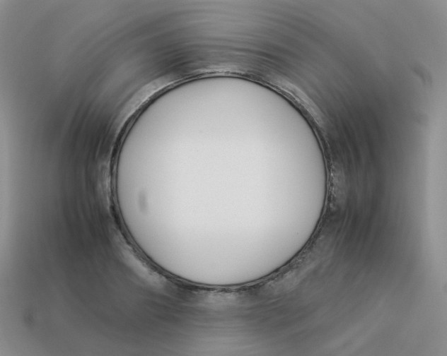 X0000113370890200910131318