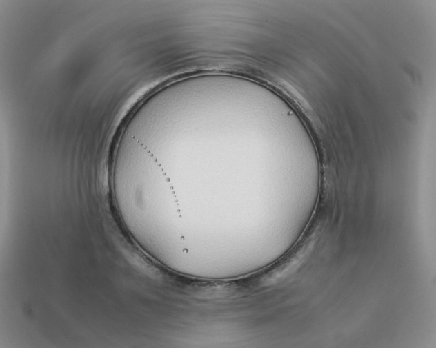 X0000113370891200910131318