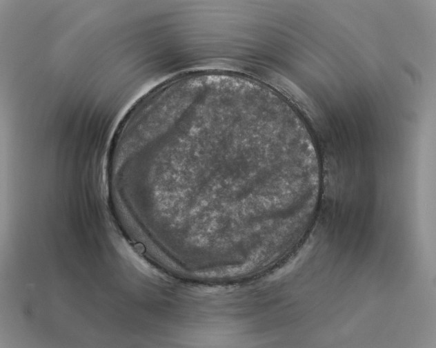X0000113370892200910131318