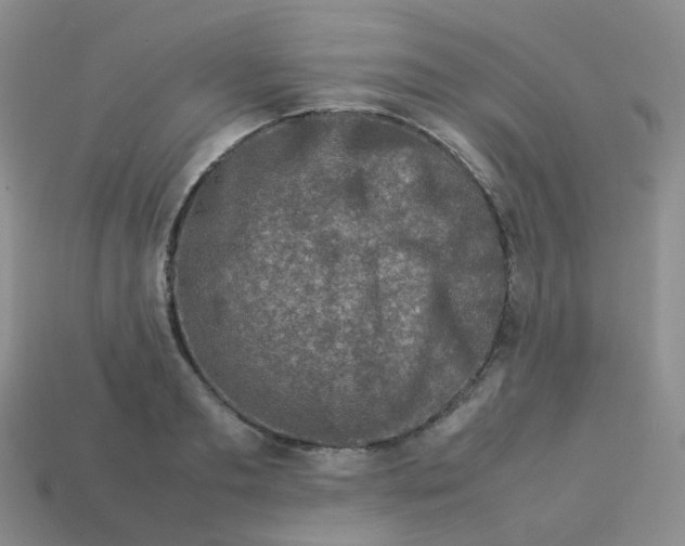 X0000113370893200910131318