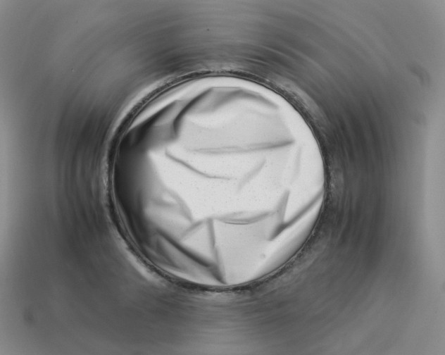 X0000113370894200910131318