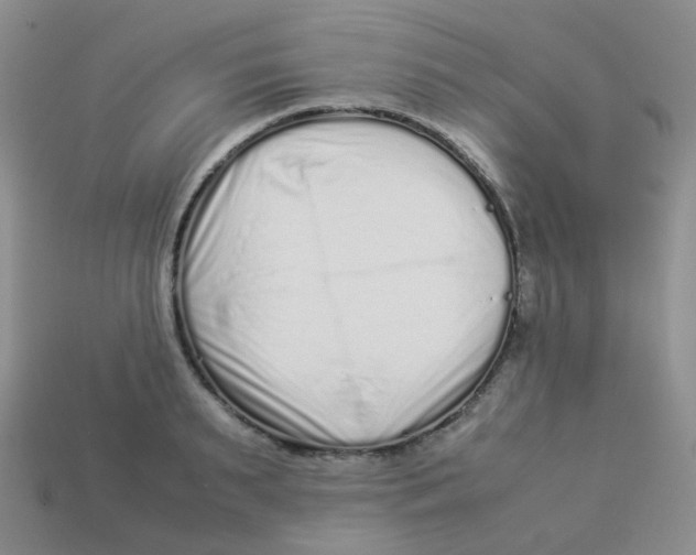 X0000113370895200910131318