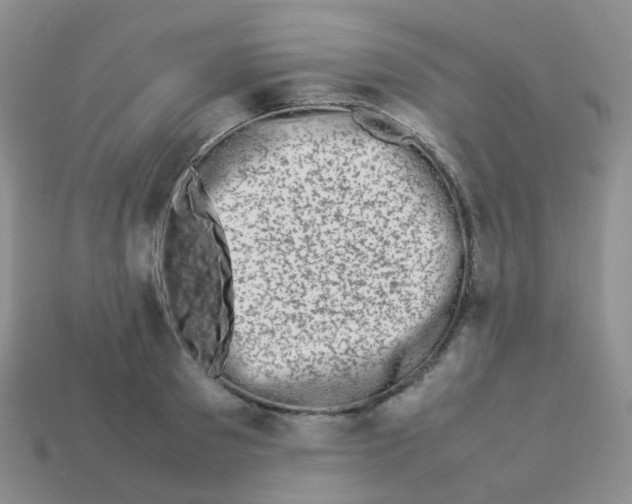X0000113370897200910131318