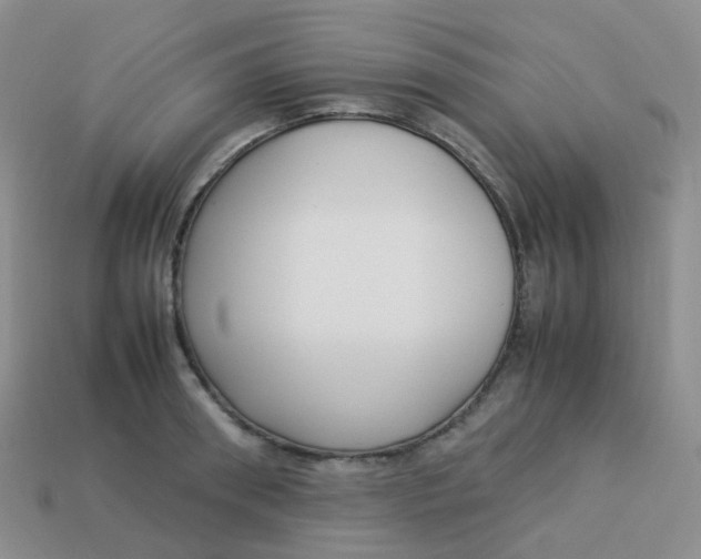 X0000113370898200910131318