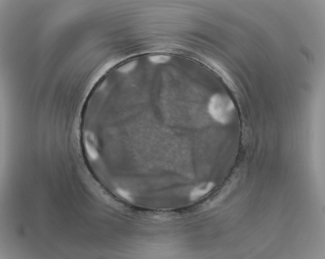 X0000113370899200910131318