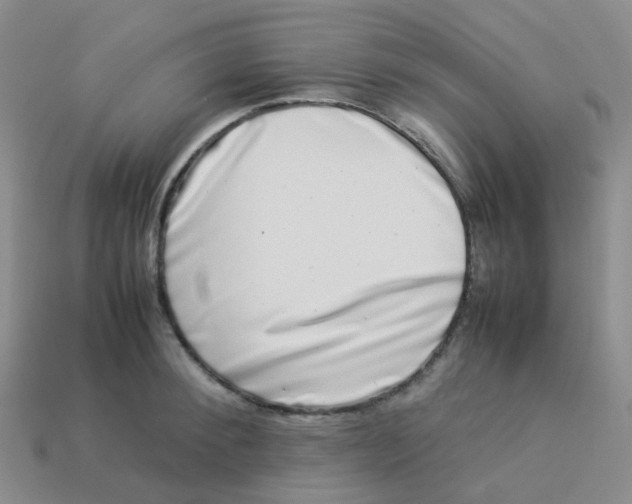 X0000113370900200910131318