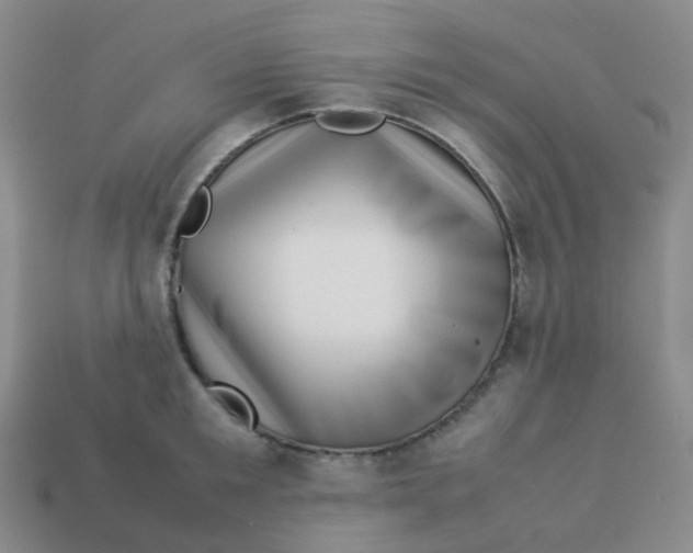 X0000113370901200910131318