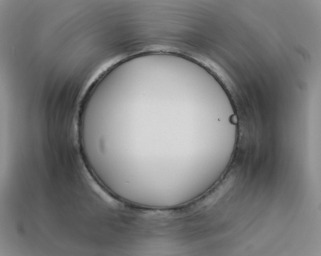X0000113370902200910131318