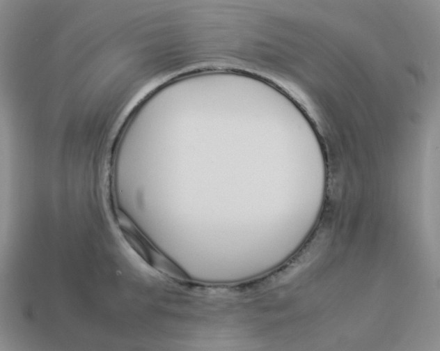 X0000113370903200910131318