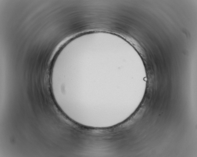 X0000113370904200910131318