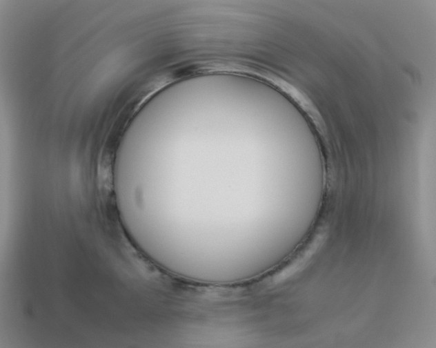 X0000113370905200910131318