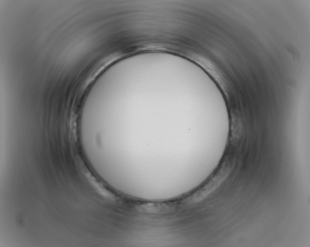X0000113370906200910131318