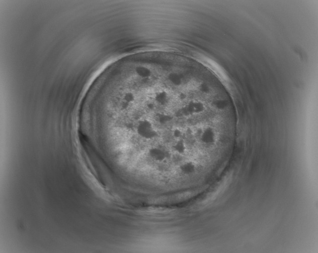 X0000113370907200910131318