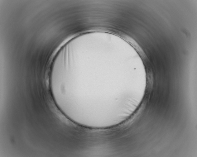X0000113370908200910131318