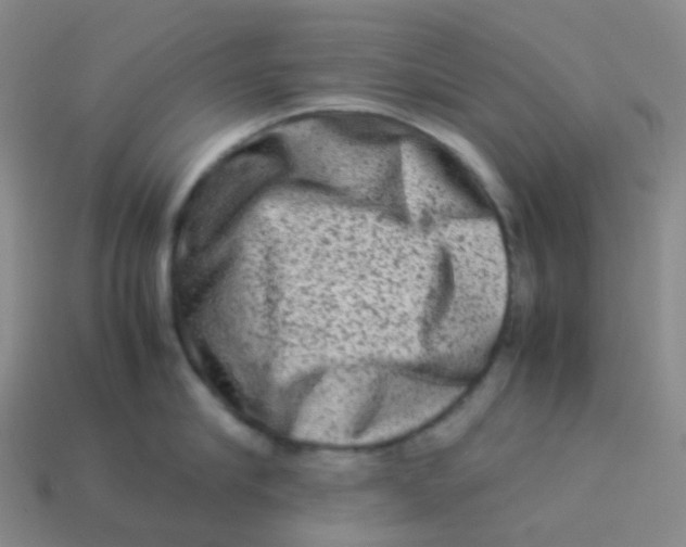 X0000113370910200910131318