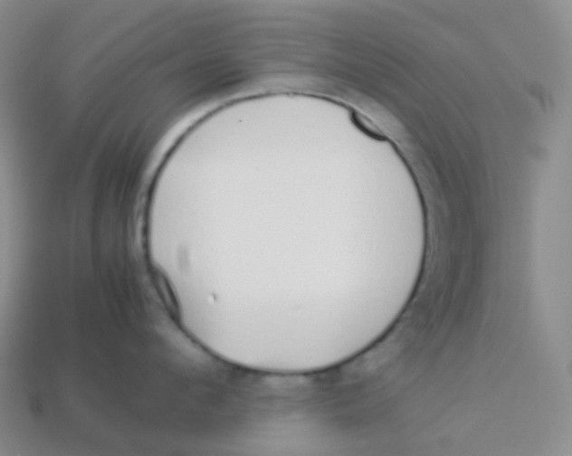 X0000113370912200910131318