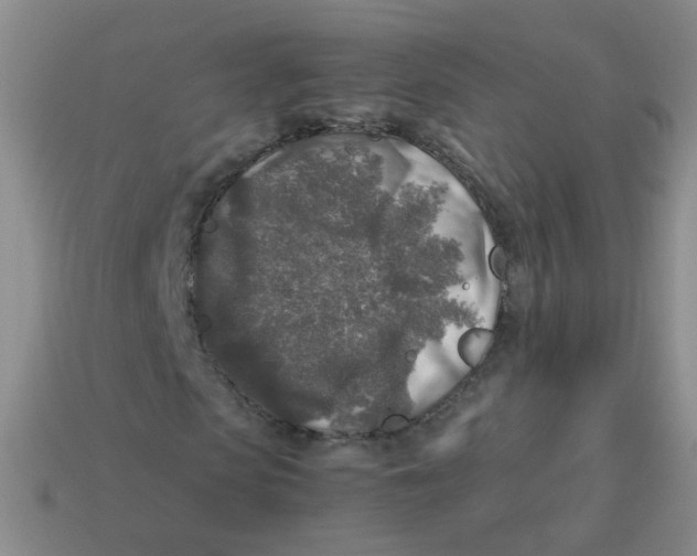 X0000113370913200910131317