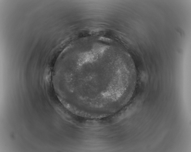 X0000113370914200910131317