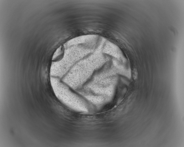 X0000113370915200910131318