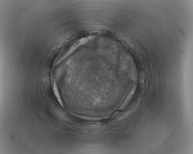X0000113370916200910131318