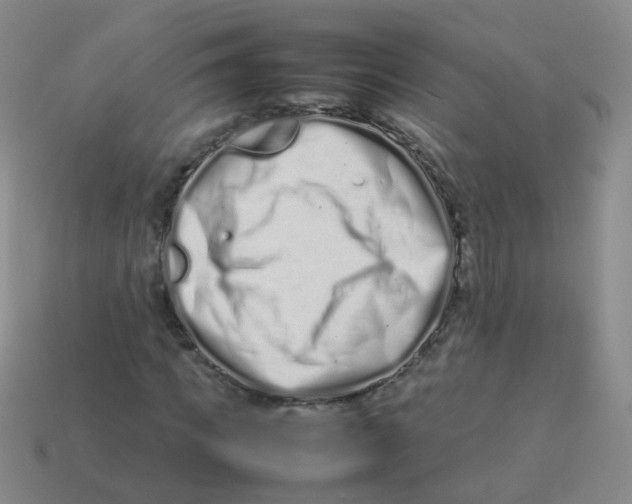 X0000113370917200910131318