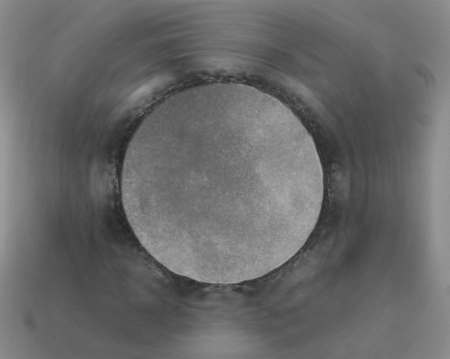 X0000113370918200910131318