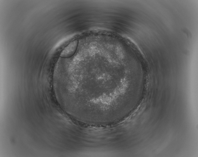 X0000113370919200910131318