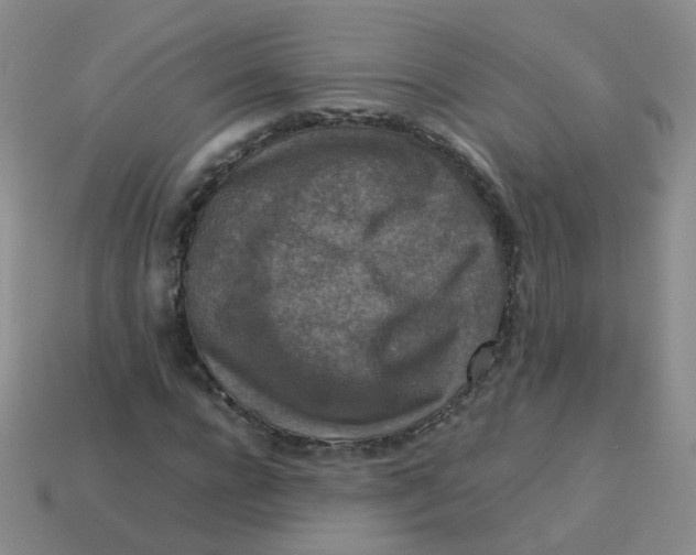 X0000113370920200910131318